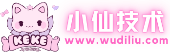 小仙个人技术